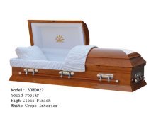 30H0022